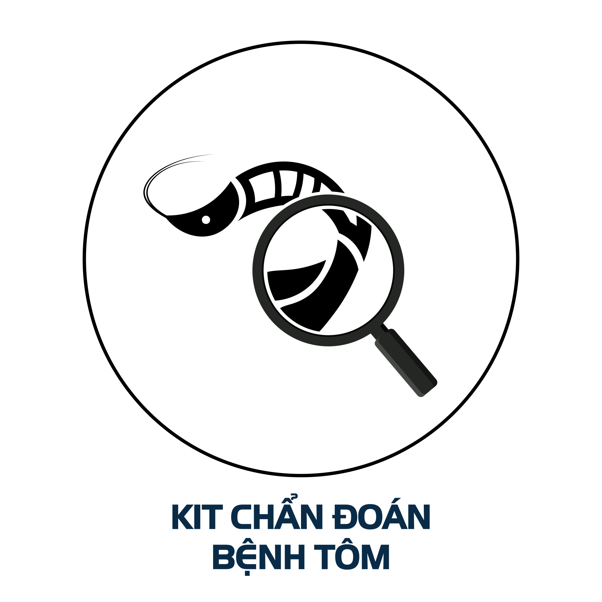 Kit chẩn đoán bệnh tôm